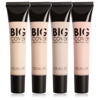 Focallure Liquid Big Coverage Concealer