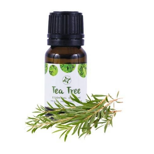 Tea Tee Essential Oil 10ml