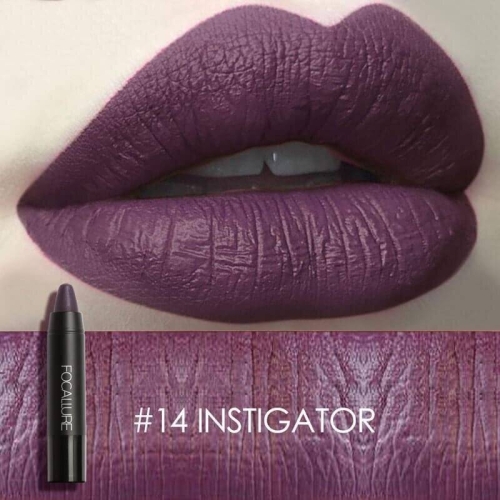 FOCALLURE MATTE LIP CRAYON- Instigator